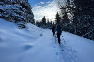 Skitour- Mini am Bach